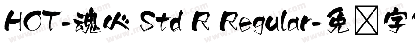 HOT-魂心 Std R Regular字体转换